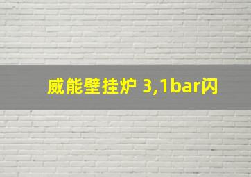 威能壁挂炉 3,1bar闪